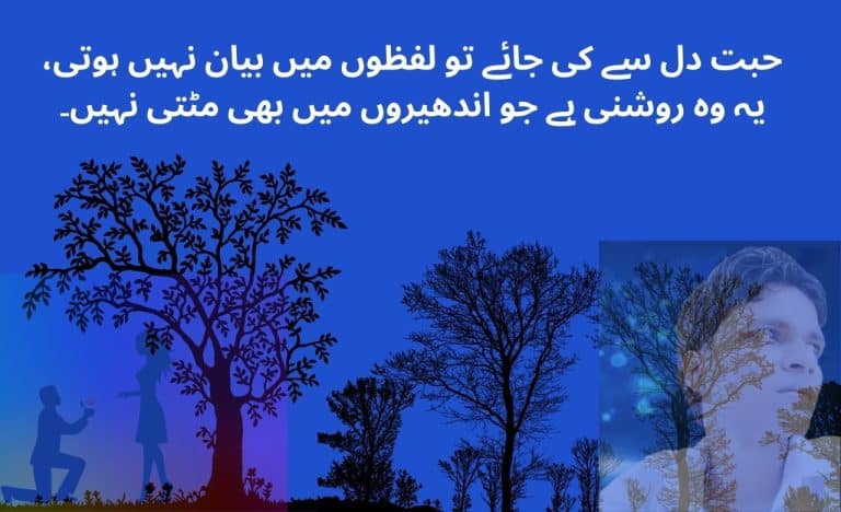 حبت دل سے کی جائے تو لفظوں میں بیان نہیں ہوتی، یہ وہ روشنی ہے جو اندھیروں میں بھی مٹتی نہیں۔